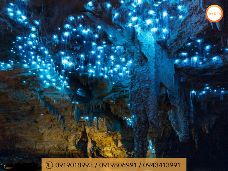 Hang động đom đóm Waitomo Glowworm - Du lịch 360Go